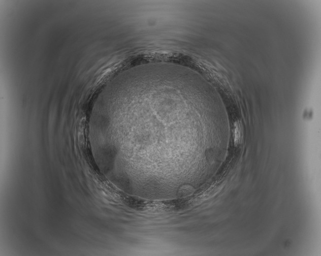 X0000097481059200802291353