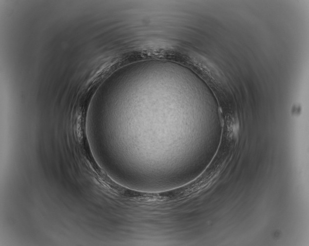 X0000097481060200802291353