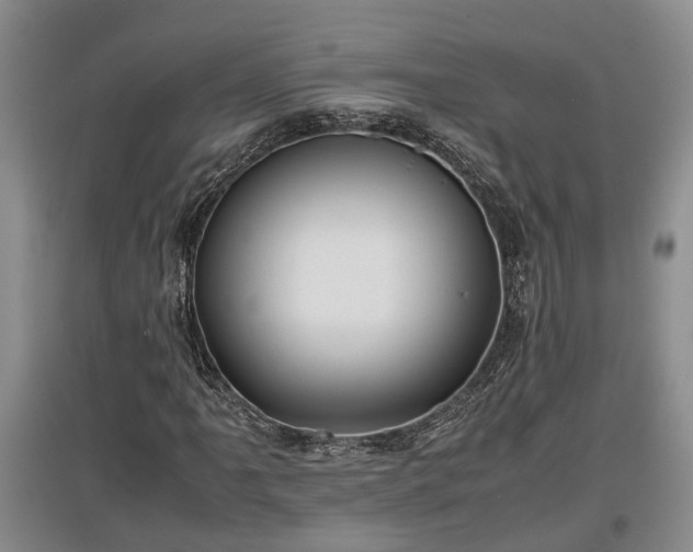 X0000097481061200802291353
