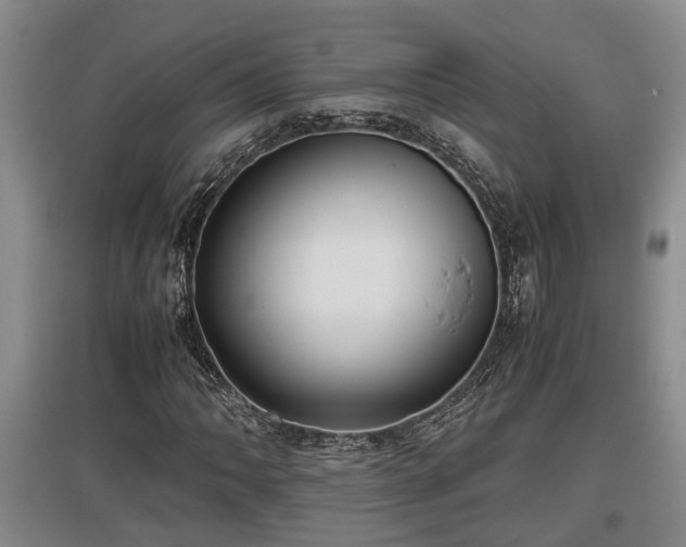 X0000097481062200802291353