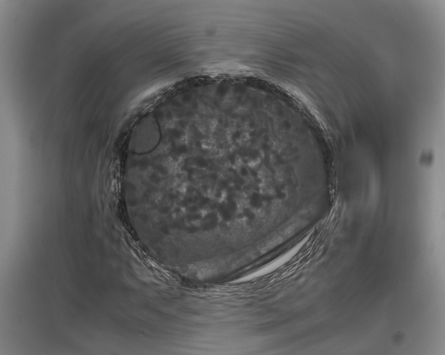 X0000097481063200802291353