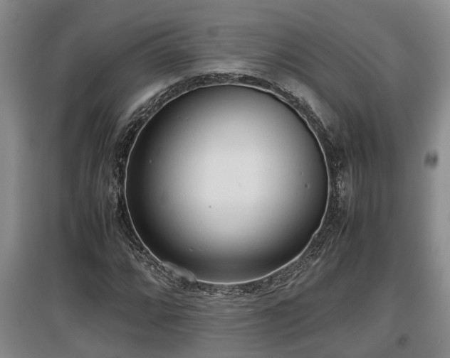 X0000097481064200802291353
