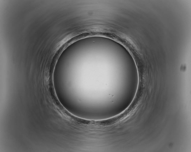 X0000097481065200802291353