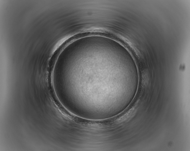 X0000097481066200802291353