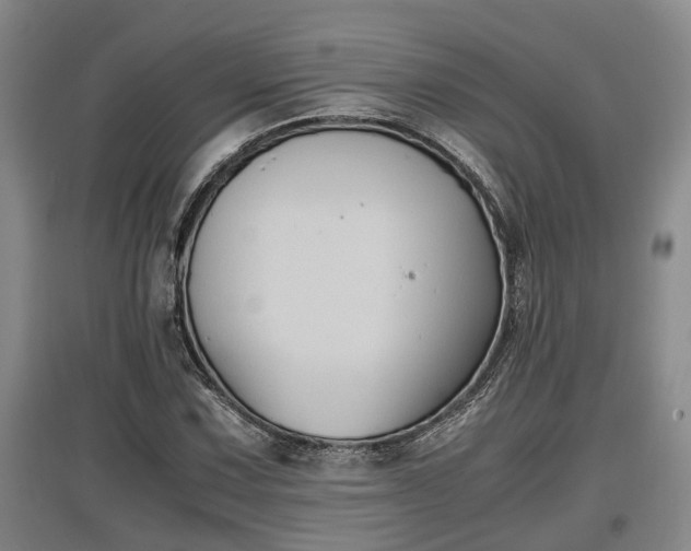 X0000097481067200802291353