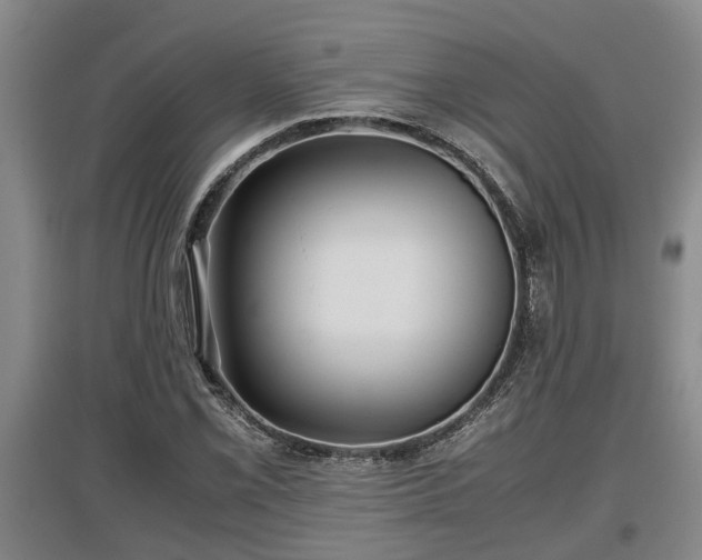 X0000097481069200802291353