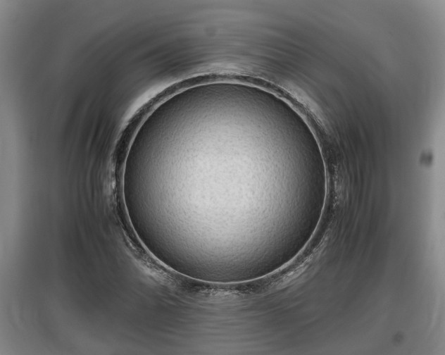 X0000097481070200802291353
