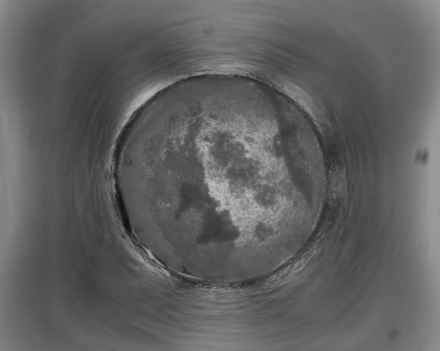 X0000097481071200802291353