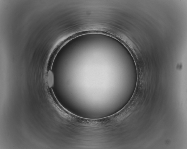 X0000097481072200802291353