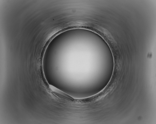 X0000097481073200802291353