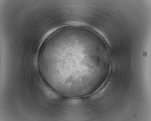 X0000097481074200802291353