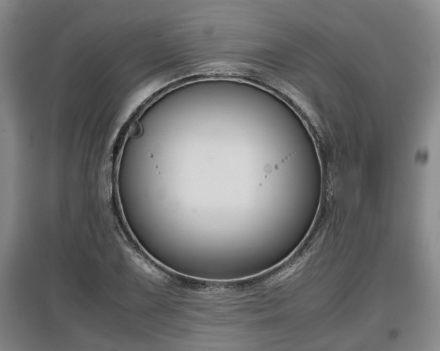 X0000097481075200802291353