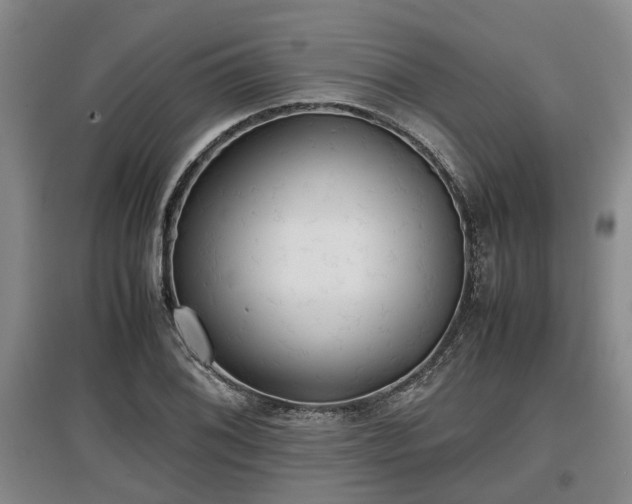 X0000097481076200802291353