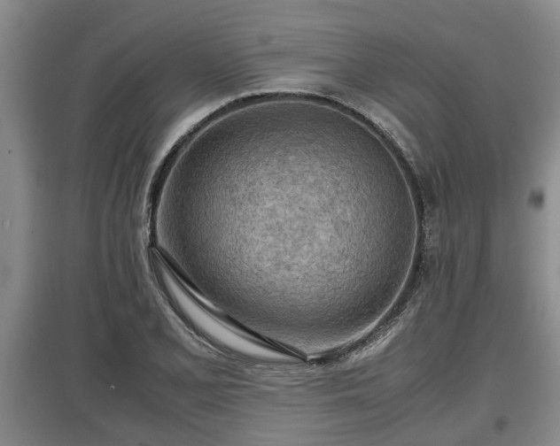 X0000097481077200802291353