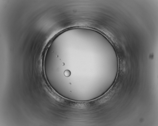 X0000097481078200802291353