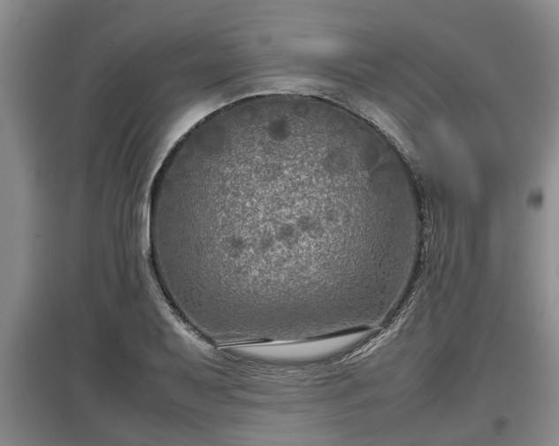 X0000097481079200802291353