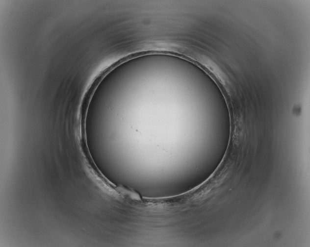 X0000097481080200802291353