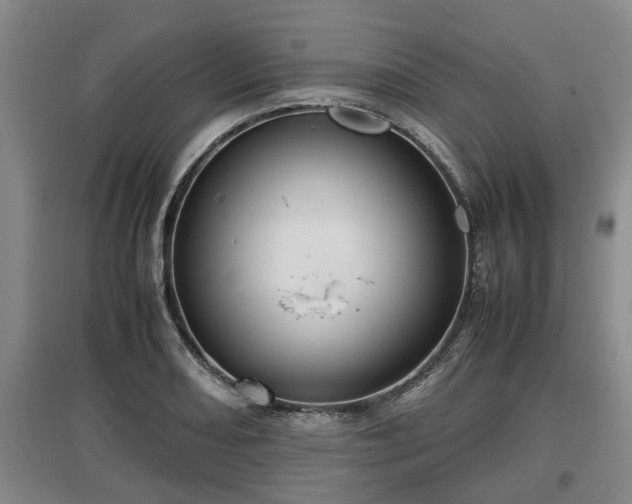 X0000097481082200802291353