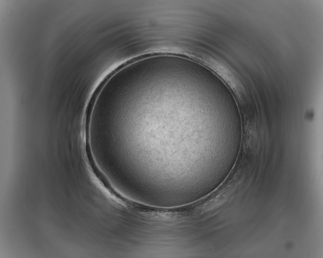 X0000097481084200802291353