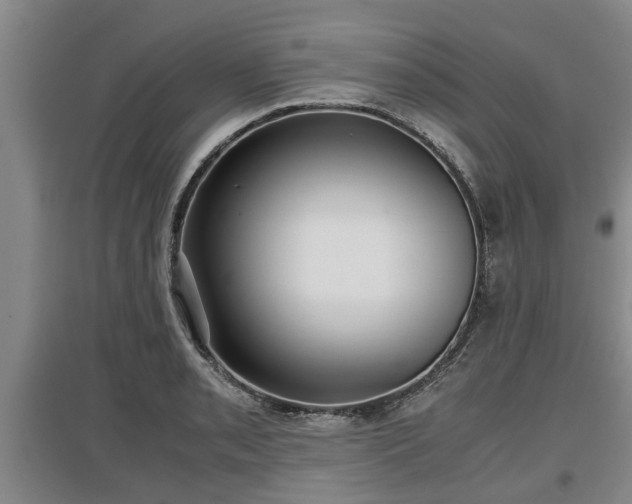 X0000097481085200802291353