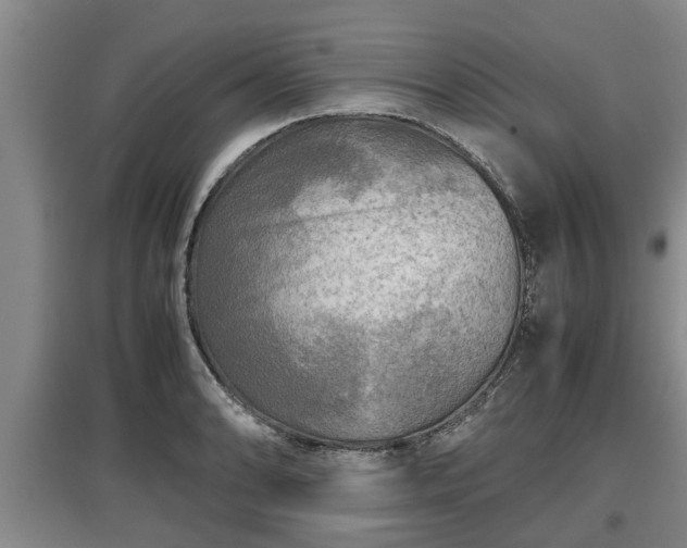 X0000097481086200802291353