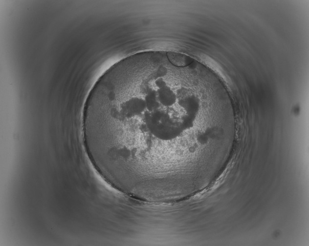 X0000097481087200802291353