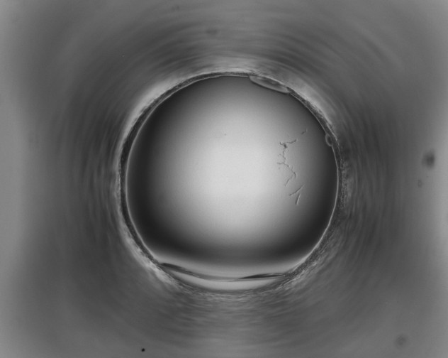 X0000097481088200802291353