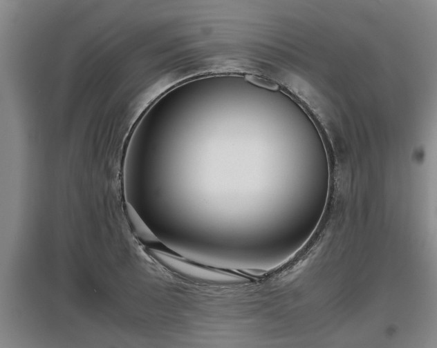 X0000097481089200802291353