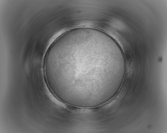 X0000097481090200802291353