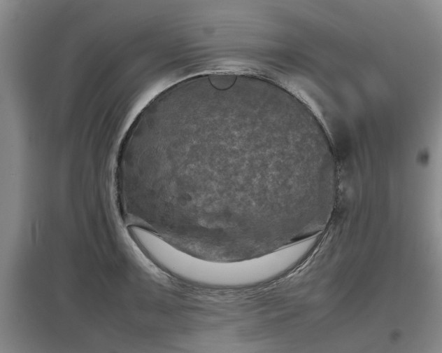 X0000097481091200802291352