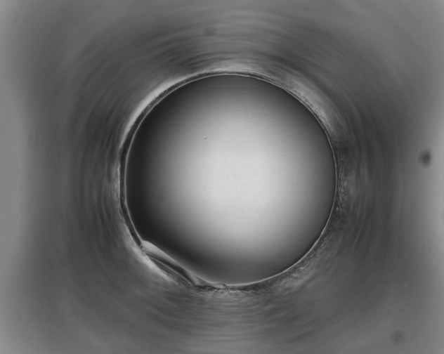 X0000097481092200802291352