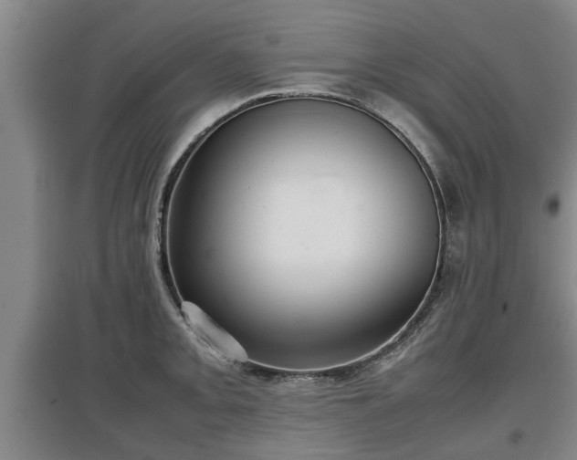 X0000097481093200802291352