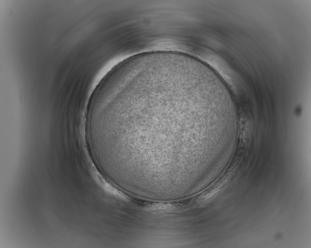 X0000097481094200802291352