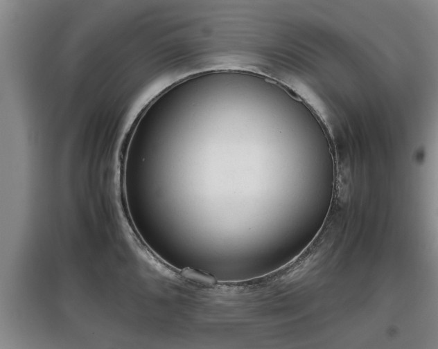 X0000097481096200802291352