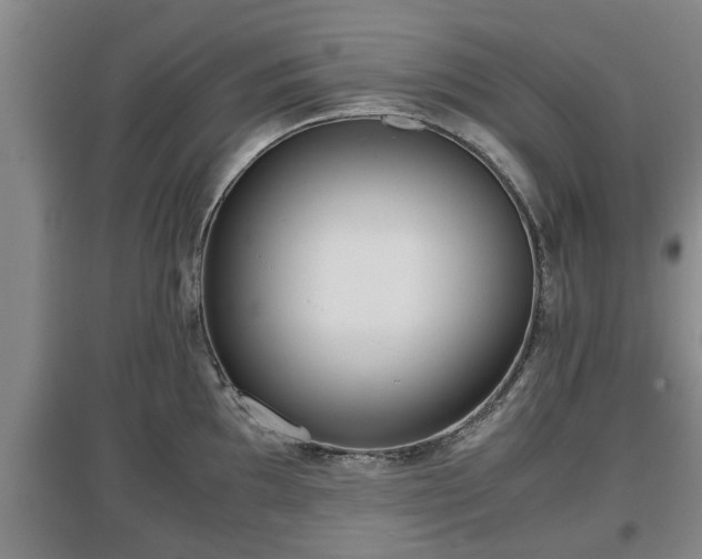 X0000097481097200802291352