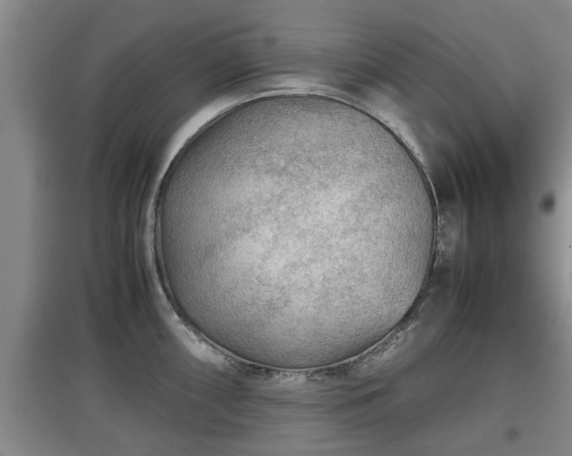 X0000097481098200802291352