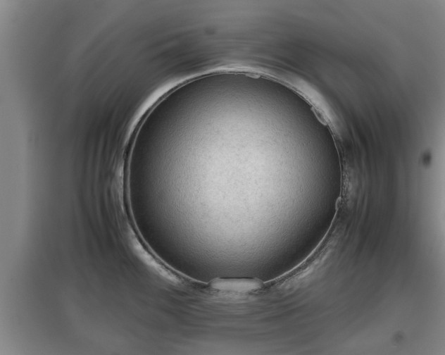 X0000097481100200802291352