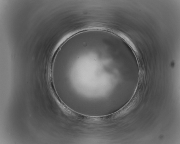 X0000097481101200802291352