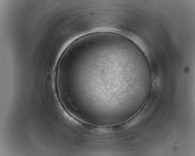 X0000097481102200802291352