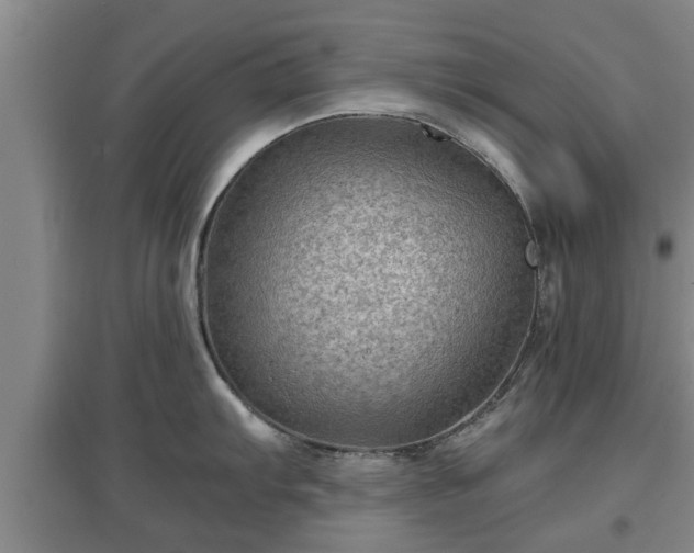 X0000097481103200802291352