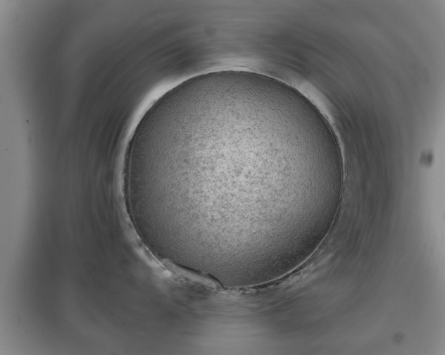 X0000097481104200802291352