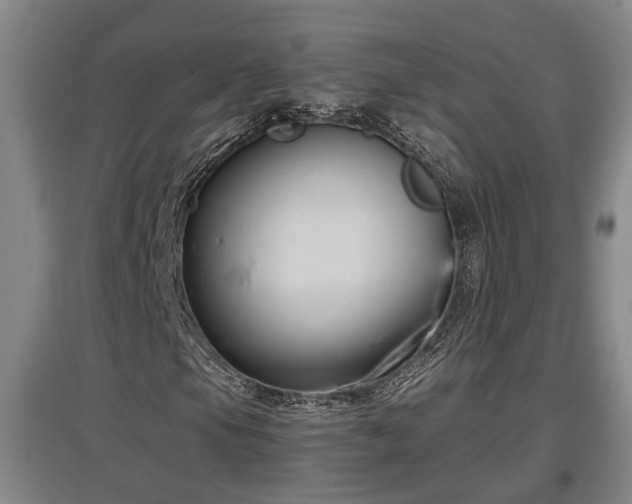 X0000097481105200802291352