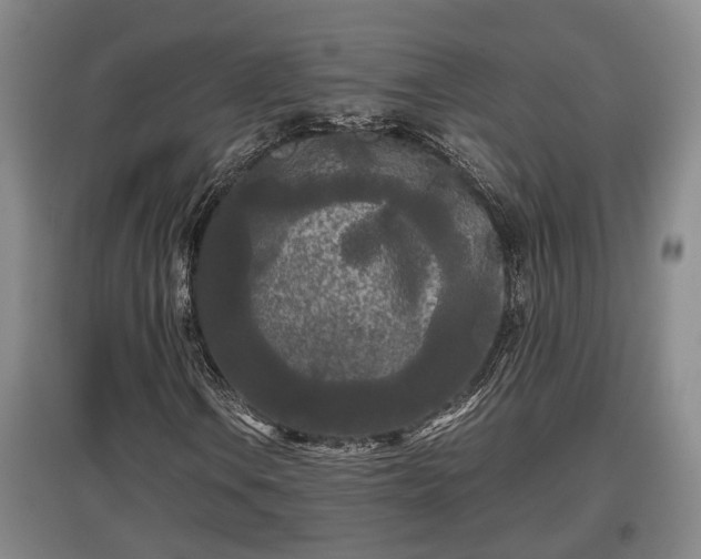 X0000097481106200802291352