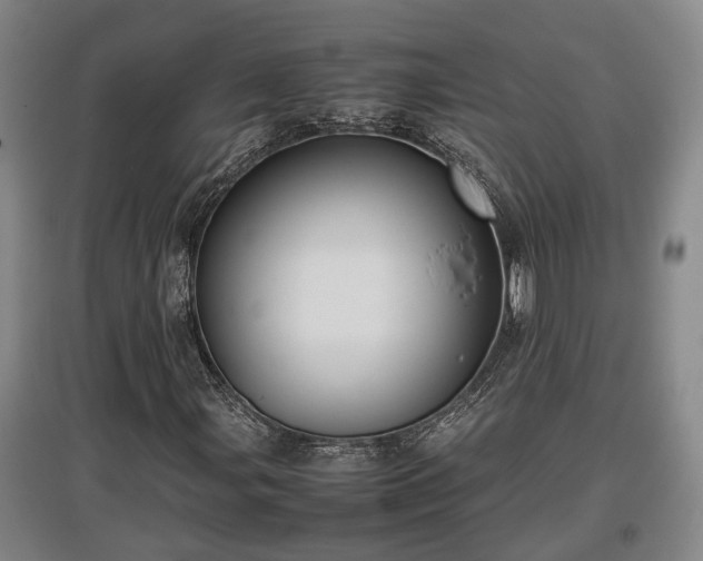 X0000097481107200802291352