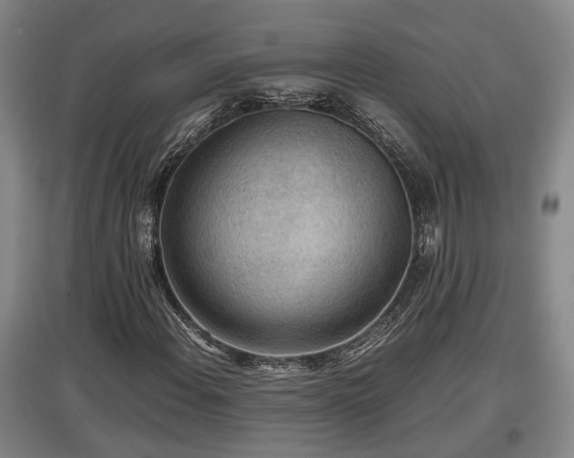 X0000097481108200802291352