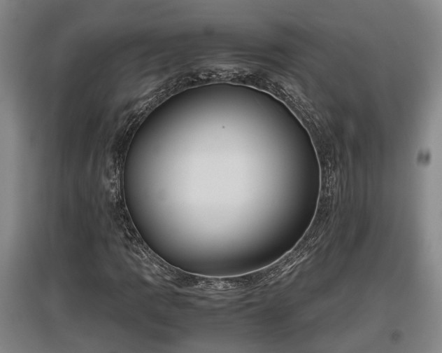 X0000097481109200802291352