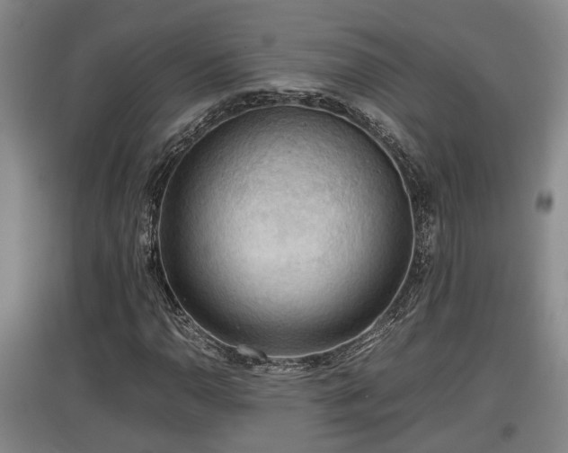 X0000097481110200802291352