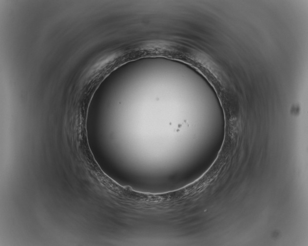 X0000097481111200802291352
