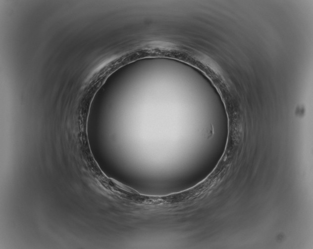 X0000097481112200802291352