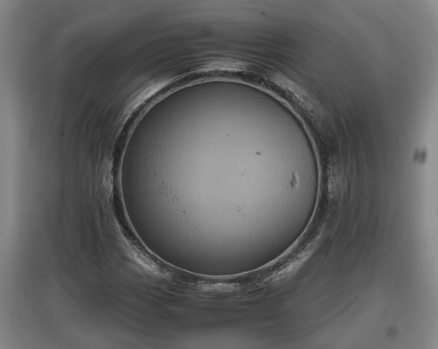 X0000097481113200802291352